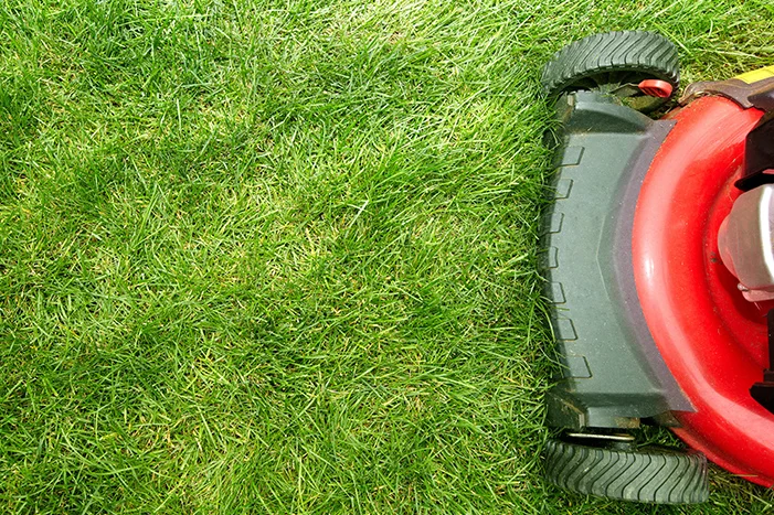 Rasenmäher auf grünem Rasen